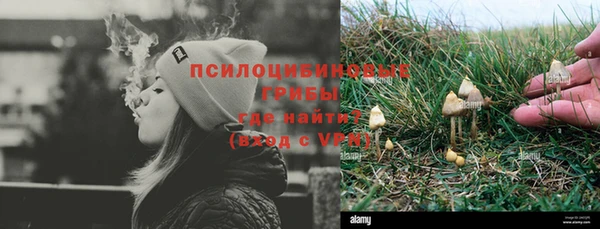 прущая мука Богданович