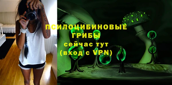 не бодяженный Богородицк