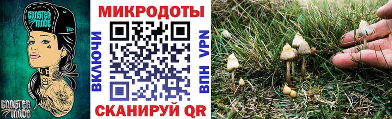 MEGA онион  Тольятти  Псилоцибиновые грибы MAGIC MUSHROOMS 